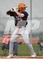 Photo from the gallery "Mead @ Windsor"