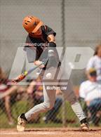 Photo from the gallery "Mead @ Windsor"