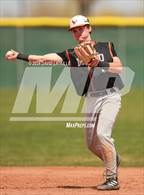 Photo from the gallery "Mead @ Windsor"