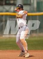 Photo from the gallery "Mead @ Windsor"