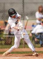 Photo from the gallery "Mead @ Windsor"