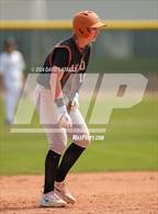 Photo from the gallery "Mead @ Windsor"