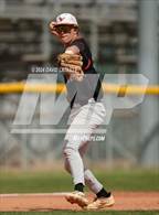 Photo from the gallery "Mead @ Windsor"