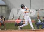 Photo from the gallery "Mead @ Windsor"