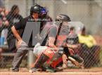 Photo from the gallery "Mead @ Windsor"