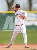 Photo from the gallery "Mead @ Windsor"