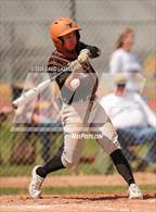 Photo from the gallery "Mead @ Windsor"