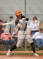 Photo from the gallery "Mead @ Windsor"