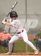 Photo from the gallery "Mead @ Windsor"