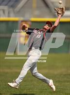 Photo from the gallery "Mead @ Windsor"