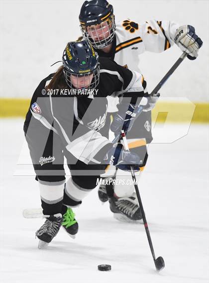 Thumbnail 2 in Amity/North Haven/Cheshire Blades @ Daniel Hand photogallery.