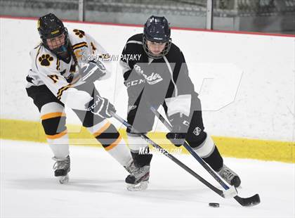 Thumbnail 3 in Amity/North Haven/Cheshire Blades @ Daniel Hand photogallery.
