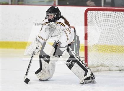 Thumbnail 1 in Amity/North Haven/Cheshire Blades @ Daniel Hand photogallery.