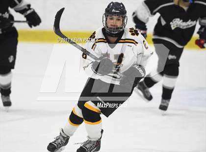 Thumbnail 2 in Amity/North Haven/Cheshire Blades @ Daniel Hand photogallery.