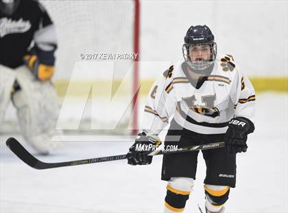 Thumbnail 3 in Amity/North Haven/Cheshire Blades @ Daniel Hand photogallery.