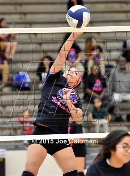 Thumbnail 2 in Burbank vs Lanier [Sidney] photogallery.