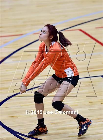 Thumbnail 2 in Burbank vs Lanier [Sidney] photogallery.
