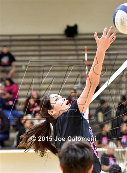 Thumbnail 3 in Burbank vs Lanier [Sidney] photogallery.