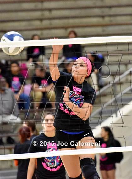 Thumbnail 3 in Burbank vs Lanier [Sidney] photogallery.