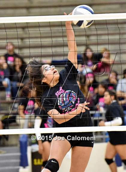 Thumbnail 1 in Burbank vs Lanier [Sidney] photogallery.