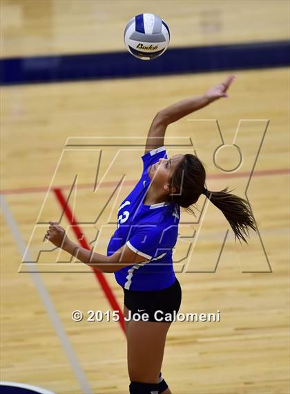 Thumbnail 1 in Burbank vs Lanier [Sidney] photogallery.