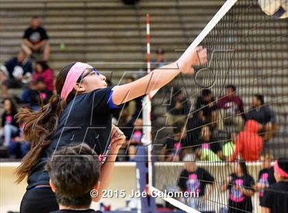 Thumbnail 2 in Burbank vs Lanier [Sidney] photogallery.