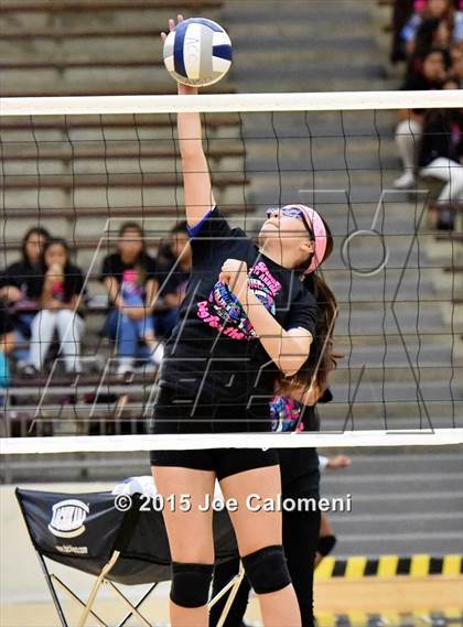 Thumbnail 1 in Burbank vs Lanier [Sidney] photogallery.