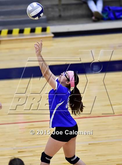 Thumbnail 1 in Burbank vs Lanier [Sidney] photogallery.