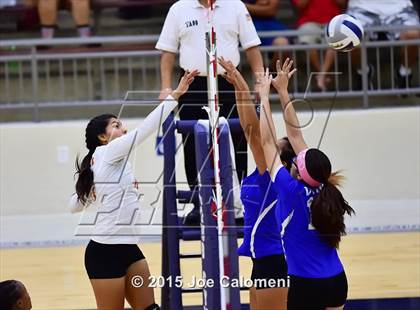 Thumbnail 1 in Burbank vs Lanier [Sidney] photogallery.