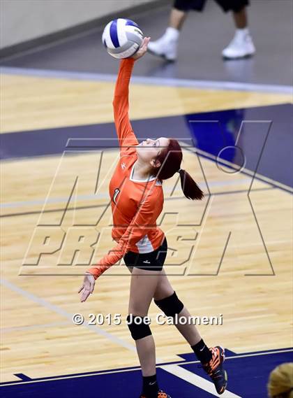Thumbnail 1 in Burbank vs Lanier [Sidney] photogallery.