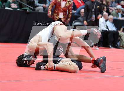 Thumbnail 3 in CHSAA State Championship - 5A Finals photogallery.
