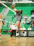 Photo from the gallery "Shadow Creek @ Clear Falls"