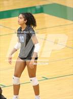 Photo from the gallery "Shadow Creek @ Clear Falls"