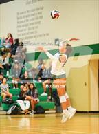 Photo from the gallery "Shadow Creek @ Clear Falls"