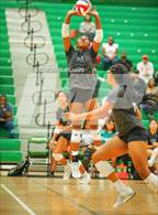 Photo from the gallery "Shadow Creek @ Clear Falls"