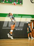 Photo from the gallery "Shadow Creek @ Clear Falls"