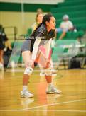 Photo from the gallery "Shadow Creek @ Clear Falls"