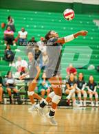 Photo from the gallery "Shadow Creek @ Clear Falls"