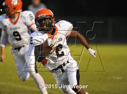 Thumbnail 1 in Zephyrhills @ Wiregrass Ranch photogallery.