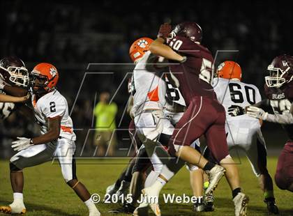Thumbnail 3 in Zephyrhills @ Wiregrass Ranch photogallery.