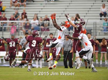 Thumbnail 1 in Zephyrhills @ Wiregrass Ranch photogallery.