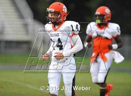 Thumbnail 1 in Zephyrhills @ Wiregrass Ranch photogallery.