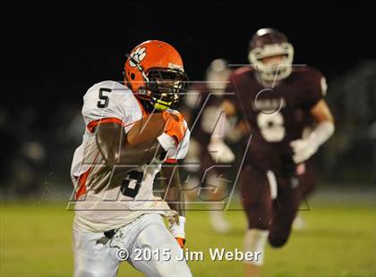 Thumbnail 2 in Zephyrhills @ Wiregrass Ranch photogallery.