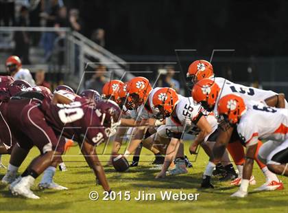 Thumbnail 3 in Zephyrhills @ Wiregrass Ranch photogallery.