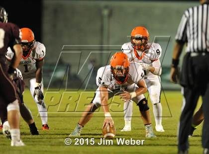 Thumbnail 3 in Zephyrhills @ Wiregrass Ranch photogallery.