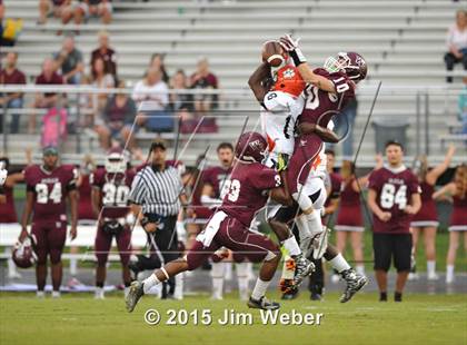 Thumbnail 2 in Zephyrhills @ Wiregrass Ranch photogallery.