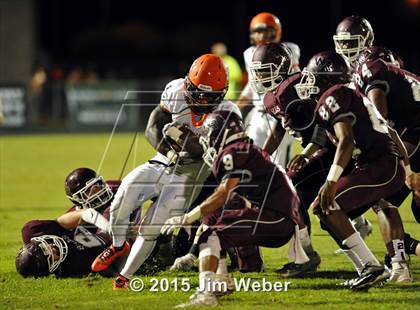 Thumbnail 1 in Zephyrhills @ Wiregrass Ranch photogallery.