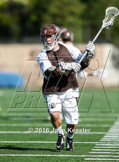 Thumbnail 2 in Culver City @ Crespi photogallery.