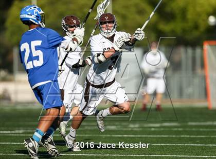 Thumbnail 1 in Culver City @ Crespi photogallery.