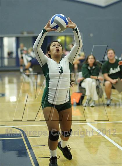 Thumbnail 3 in Albany vs Sacred Heart Cathedral (Nor Cal Classic) photogallery.